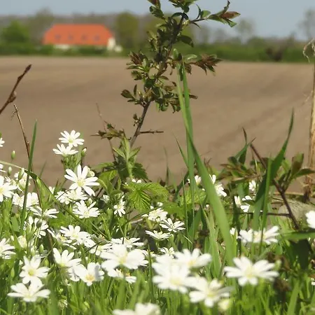 Land&meer Hasselberg (Schleswig-Holstein)